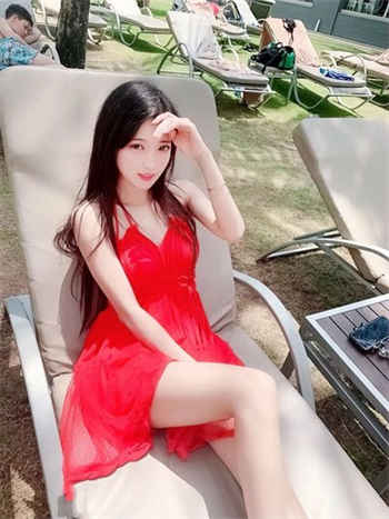 叮当猫直播下载