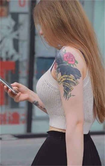 极品老师苏媚40至60章