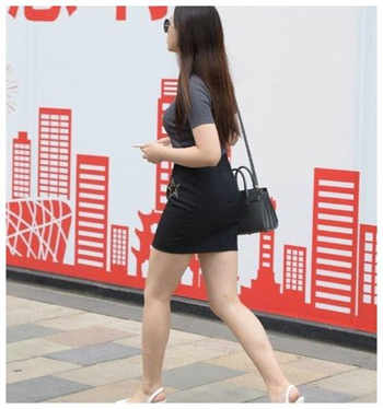 律师大人太危险陈彤