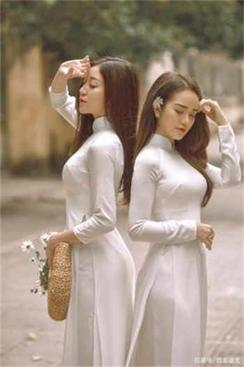 保险女王之她的商业秘密